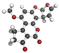 Mögelgift Aflatoxin från mögel Aspergillus