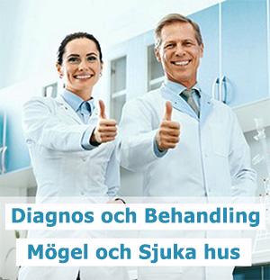 Diagnos och behandling av mögel och sjuka hus