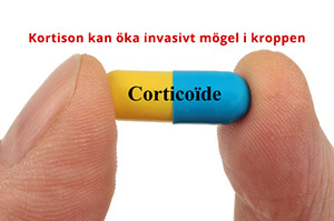 Kortison kan öka mängden mögel i kroppen