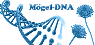 Mögel kan spåras och artbestämmas via DNA