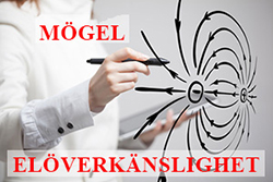 Mögel i hus kan leda till elöverkänslighet