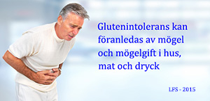 Glutenintolerans kan föranledas av mögel och mögelgift i hus, mat och dryck