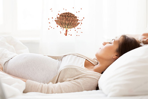 Mögel och infektion kan skada fostret hos gravid kvinna