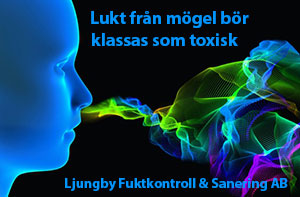 Lukt i hus från mögel kan vara toxisk