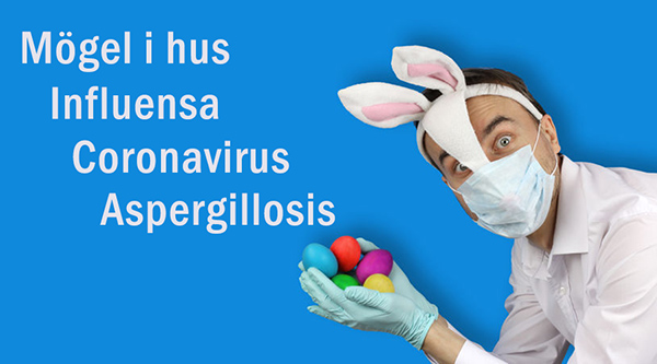 Mögel i hus relaterat till influensa coronavirus och aspergillosis